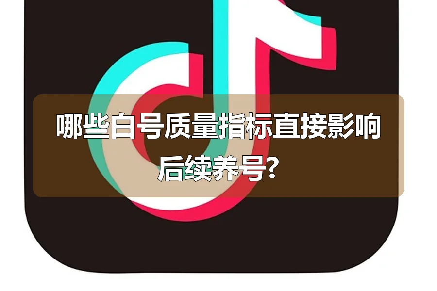 哪些白号质量指标直接影响后续养号?